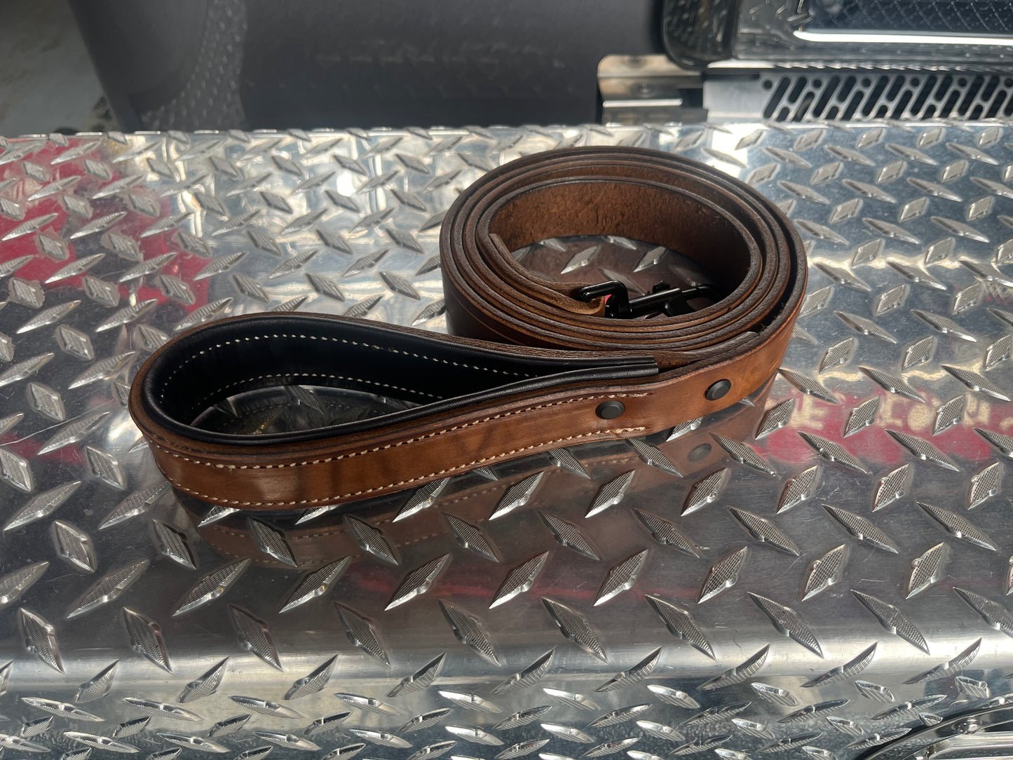 Pet Leashes