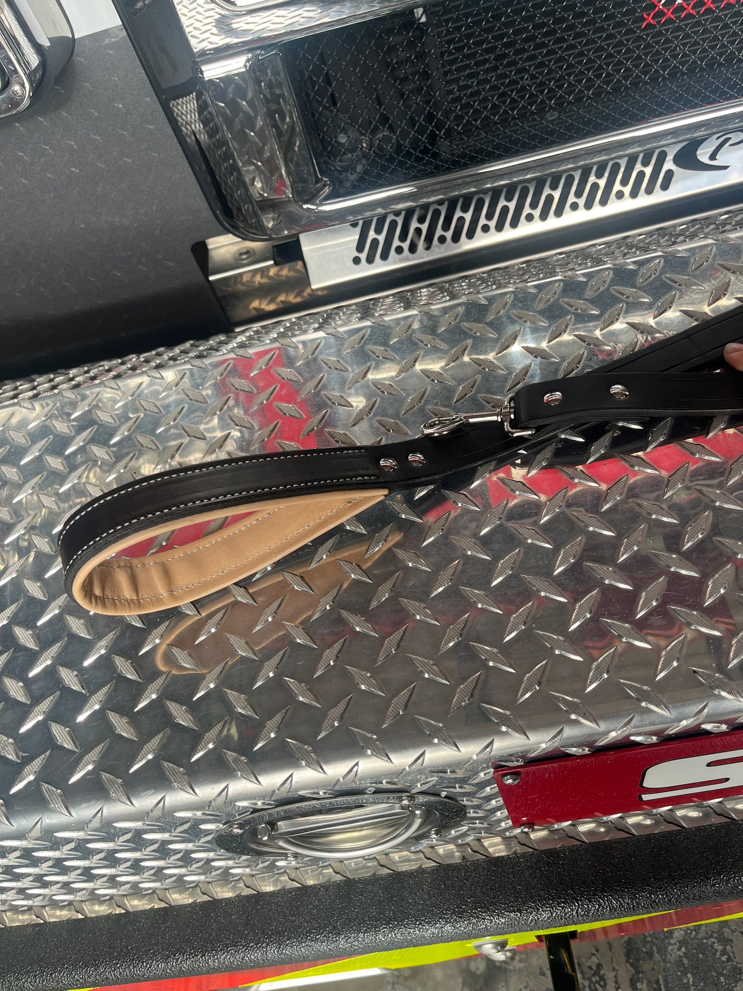 Pet Leashes