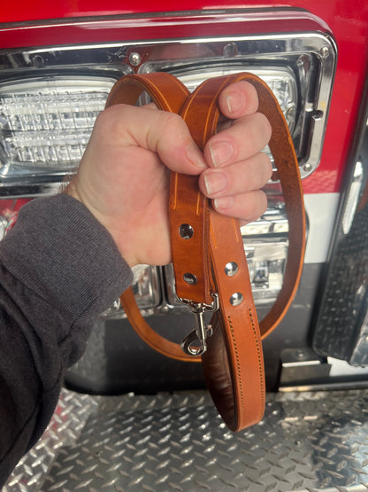 Pet Leashes