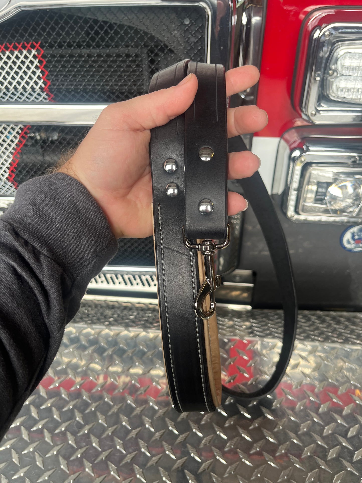 Pet Leashes