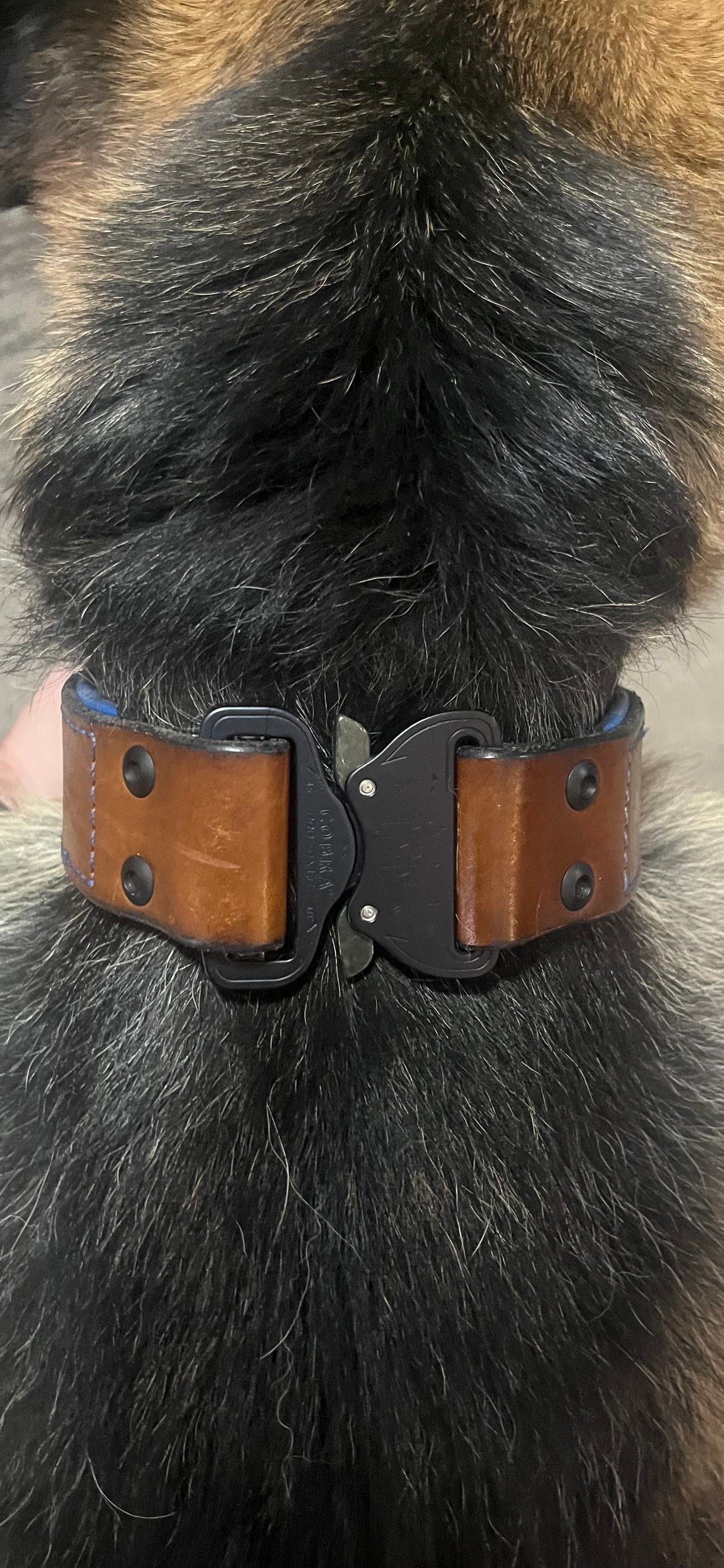 Collars